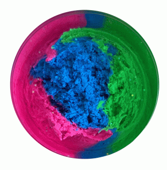 trout master paste candy glitter